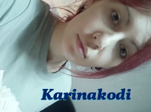Karinakodi