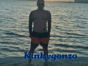 Kinkygonzo