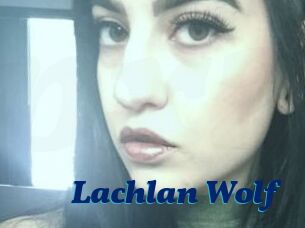 Lachlan_Wolf