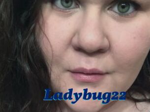 Ladybug22