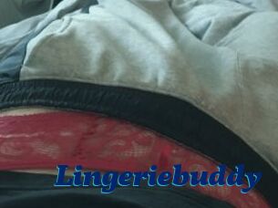 Lingeriebuddy