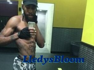 Lledys_Bloom