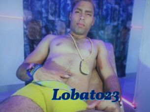 Lobato23