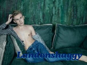 Landonshaggy