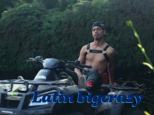 Latin_bigcrazy