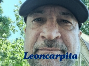Leoncarpita