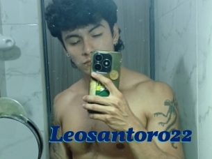 Leosantoro22