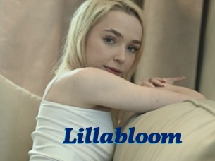 Lillabloom
