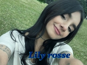 Lily_rosse
