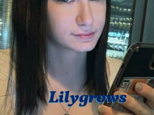 Lilygrows