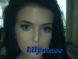 Lilymaee