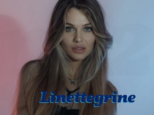 Linettegrine