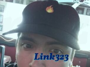 Link323