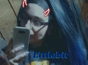 Littlebit