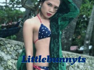 Littlebunnyts