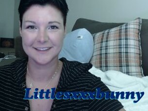 Littlesxxxbunny