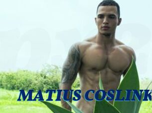 MATIUS_COSLINK