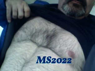 MS2022