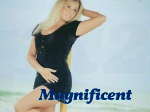 Magnificent