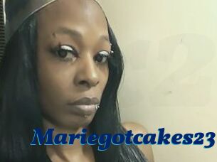 Mariegotcakes23