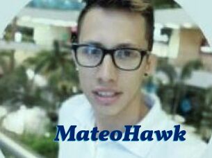 MateoHawk