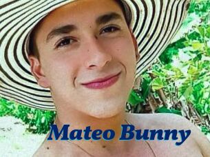 Mateo_Bunny