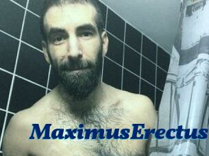 MaximusErectus