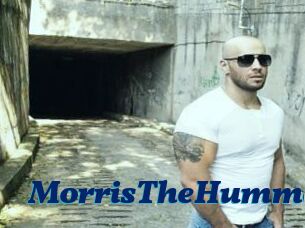 MorrisTheHumme