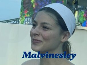 Malvinesley