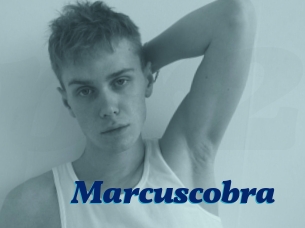 Marcuscobra