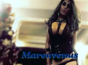 Mareavenus