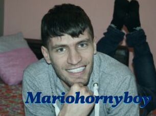 Mariohornyboy