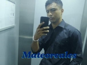 Mateoreales