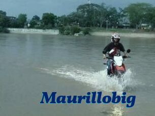 Maurillobig