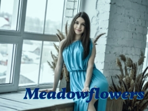 Meadowflowers