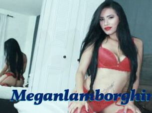 Meganlamborghini