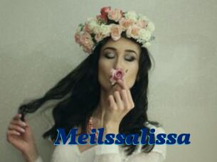 Meilssalissa