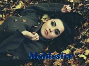 Meldesire
