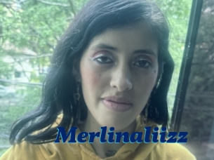 Merlinaliizz