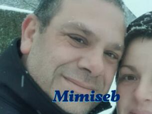 Mimiseb