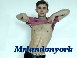 Mrlandonyork