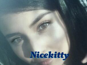 Nicekitty