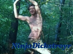 NinjaDickstroyr