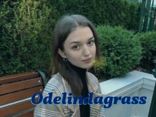 Odelindagrass
