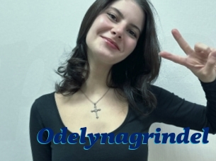 Odelynagrindel