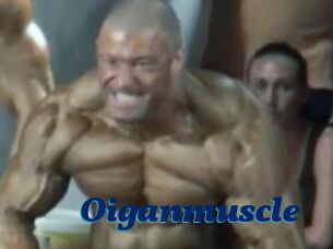 Oigan_muscle