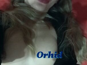 Orhid