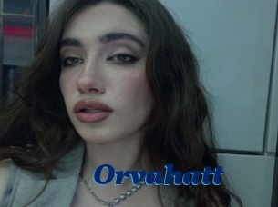 Orvahatt