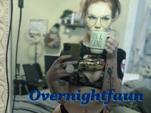 Overnightfaun