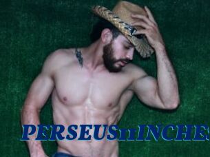 PERSEUS11INCHES